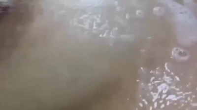 Barca
