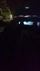 Barca