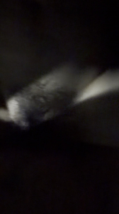 &ldquo;太爽了，我都不敢叫&rdquo;火车站地下停车场第二集