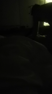 老婆异性SPA，第二段