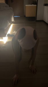 调教母狗之内裤套头爬行吃鸡，拉丝，完整版主页，门槛99