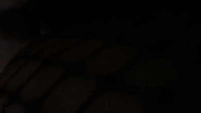 Barca