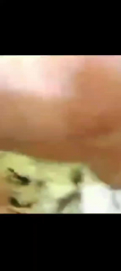 Barca